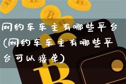 网约车车主有哪些平台(网约车车主有哪些平台可以接单)_https://www.czytfl.com_期货走势_第1张
