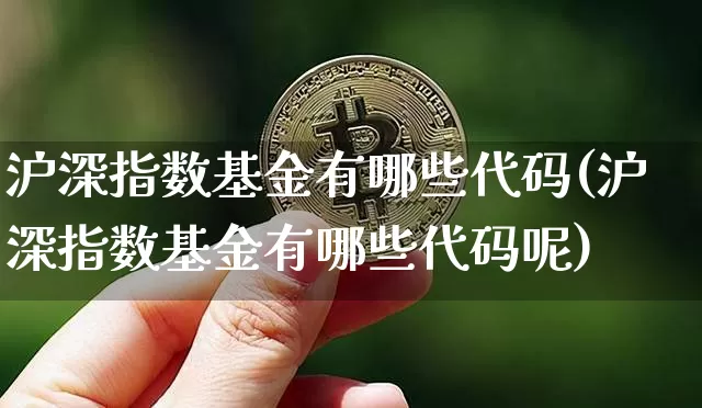 沪深指数基金有哪些代码(沪深指数基金有哪些代码呢)_https://www.czytfl.com_期货_第1张