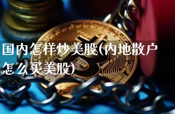 国内怎样炒美股(内地散户怎么买美股)_https://www.czytfl.com_期货行情_第1张