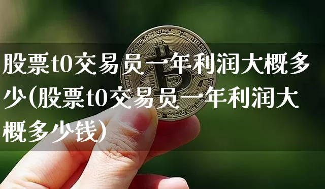 股票t0交易员一年利润大概多少(股票t0交易员一年利润大概多少钱)_https://www.czytfl.com_期货走势_第1张