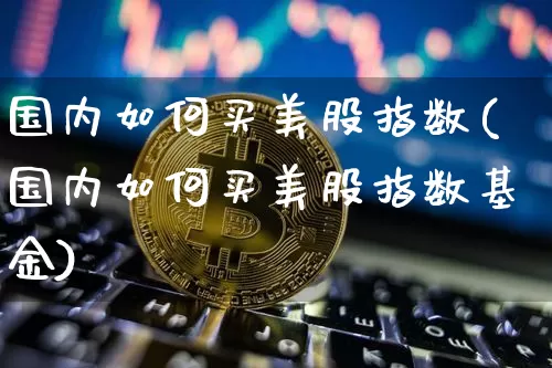 国内如何买美股指数(国内如何买美股指数基金)_https://www.czytfl.com_期货价格_第1张