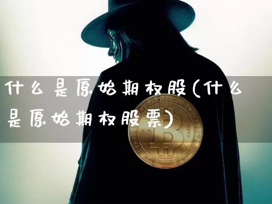 什么是原始期权股(什么是原始期权股票)_https://www.czytfl.com_期货走势_第1张