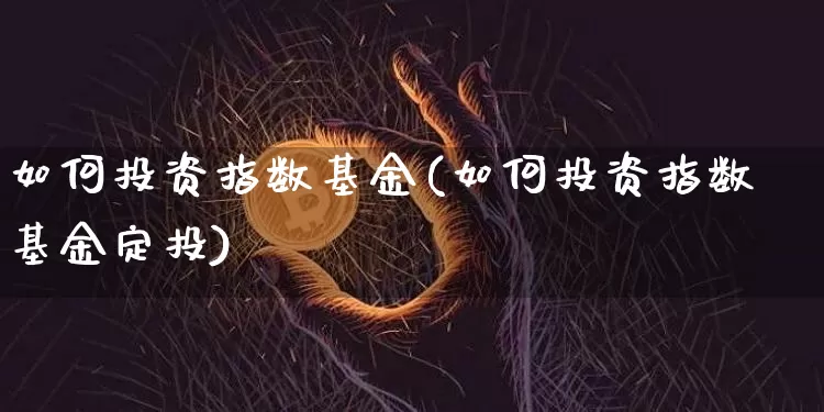 如何投资指数基金(如何投资指数基金定投)_https://www.czytfl.com_期货走势_第1张