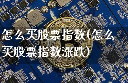 怎么买股票指数(怎么买股票指数涨跌)_https://www.czytfl.com_期货走势_第1张