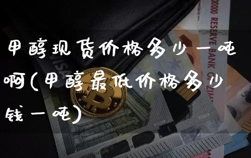 甲醇现货价格多少一吨啊(甲醇最低价格多少钱一吨)_https://www.czytfl.com_期货价格_第1张