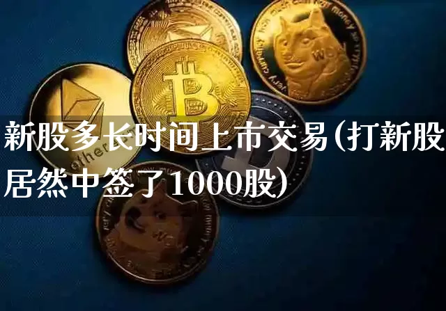 新股多长时间上市交易(打新股居然中签了1000股)_https://www.czytfl.com_期货走势_第1张