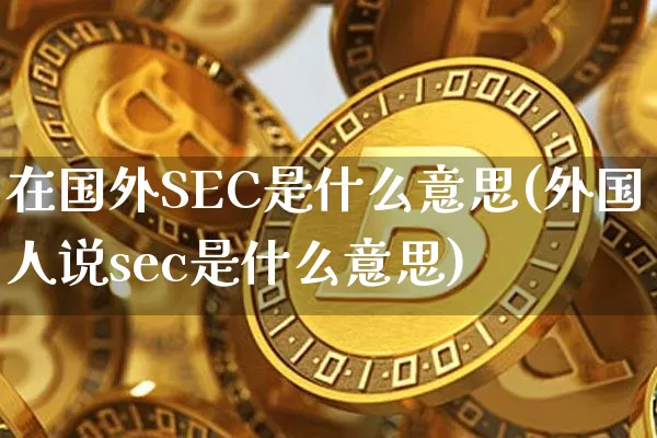 在国外SEC是什么意思(外国人说sec是什么意思)_https://www.czytfl.com_期货走势_第1张