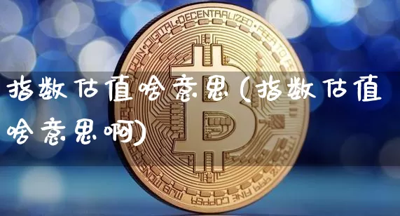 指数估值啥意思(指数估值啥意思啊)_https://www.czytfl.com_期货行情_第1张