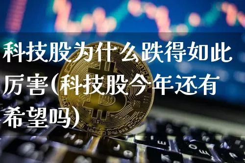 科技股为什么跌得如此厉害(科技股今年还有希望吗)_https://www.czytfl.com_期货_第1张