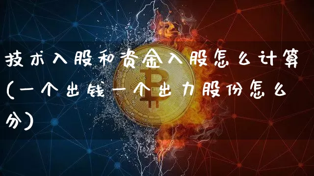 技术入股和资金入股怎么计算(一个出钱一个出力股份怎么分)_https://www.czytfl.com_期货_第1张