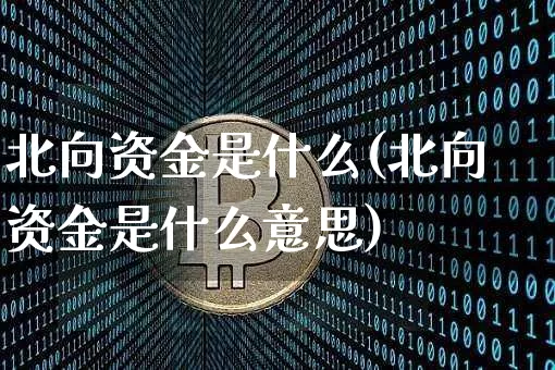 北向资金是什么(北向资金是什么意思)_https://www.czytfl.com_期货行情_第1张