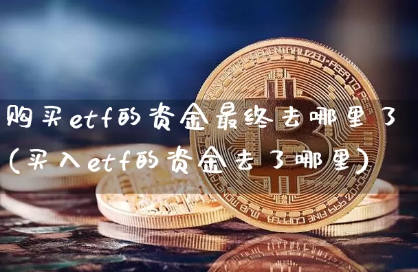 购买etf的资金最终去哪里了(买入etf的资金去了哪里)_https://www.czytfl.com_期货走势_第1张