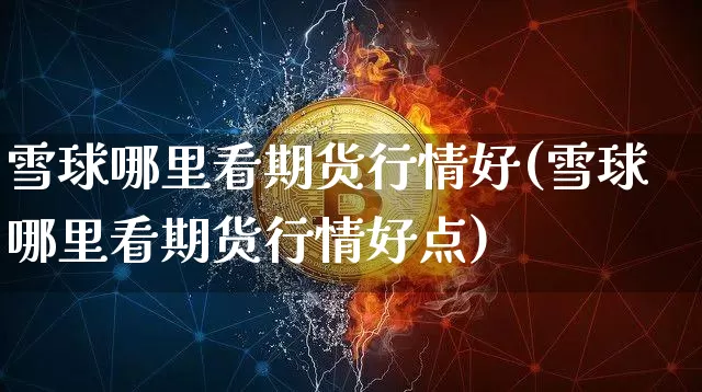雪球哪里看期货行情好(雪球哪里看期货行情好点)_https://www.czytfl.com_期货_第1张