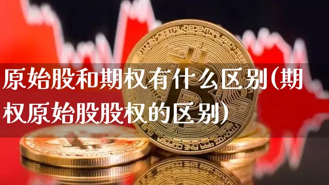 原始股和期权有什么区别(期权原始股股权的区别)_https://www.czytfl.com_期货_第1张