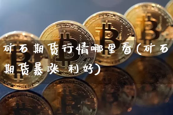 矿石期货行情哪里看(矿石期货暴涨 利好)_https://www.czytfl.com_期货_第1张