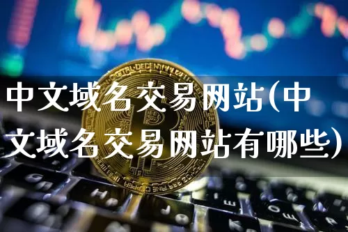 中文域名交易网站(中文域名交易网站有哪些)_https://www.czytfl.com_期货_第1张