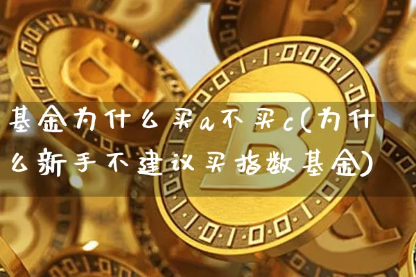 基金为什么买a不买c(为什么新手不建议买指数基金)_https://www.czytfl.com_期货走势_第1张
