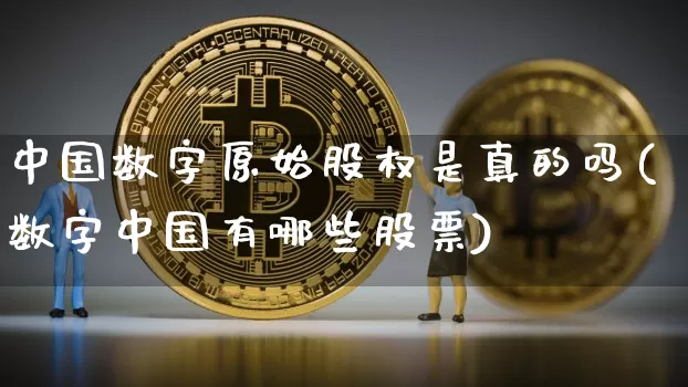中国数字原始股权是真的吗(数字中国有哪些股票)_https://www.czytfl.com_期货价格_第1张