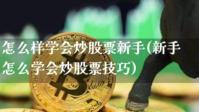 怎么样学会炒股票新手(新手怎么学会炒股票技巧)_https://www.czytfl.com_期货价格_第1张