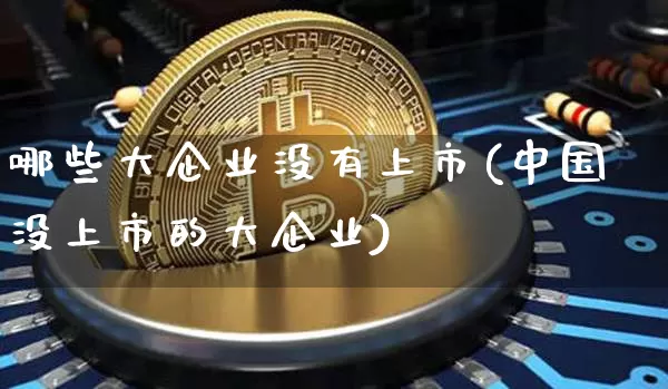 哪些大企业没有上市(中国没上市的大企业)_https://www.czytfl.com_期货走势_第1张