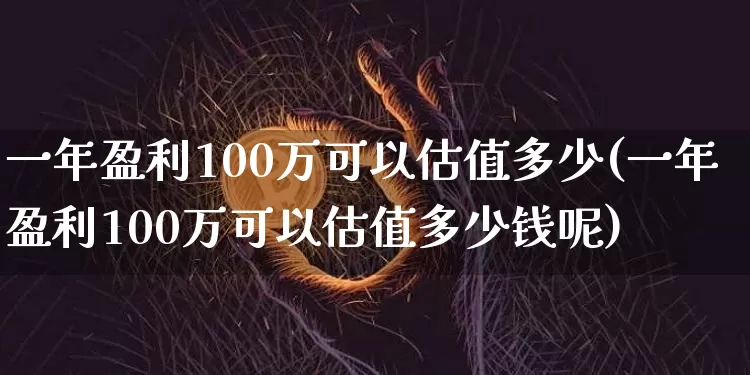 一年盈利100万可以估值多少(一年盈利100万可以估值多少钱呢)_https://www.czytfl.com_期货_第1张