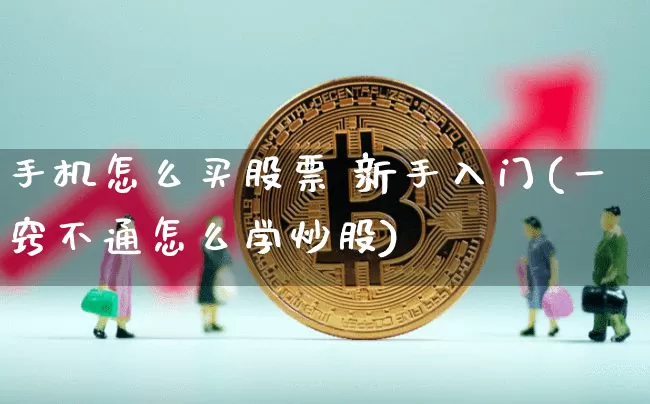 手机怎么买股票 新手入门(一窍不通怎么学炒股)_https://www.czytfl.com_期货_第1张