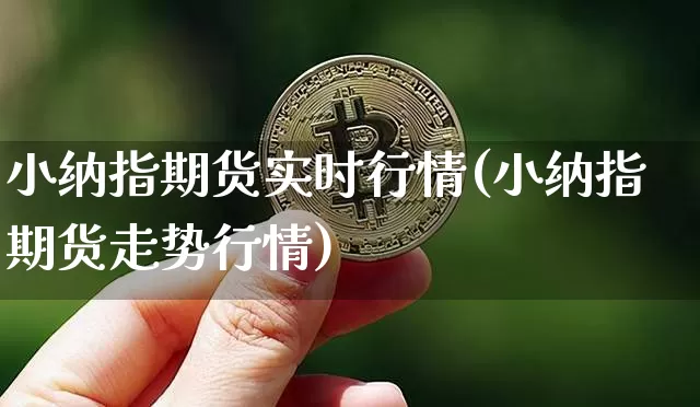 小纳指期货实时行情(小纳指期货走势行情)_https://www.czytfl.com_期货走势_第1张