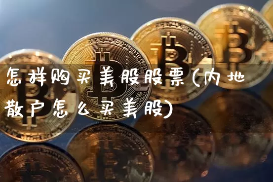 怎样购买美股股票(内地散户怎么买美股)_https://www.czytfl.com_期货_第1张