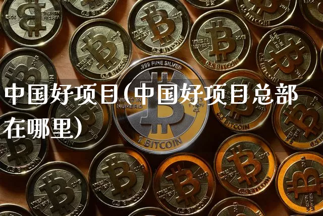 中国好项目(中国好项目总部在哪里)_https://www.czytfl.com_期货价格_第1张