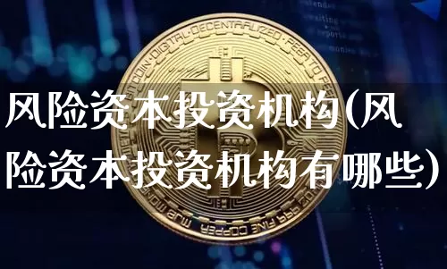风险资本投资机构(风险资本投资机构有哪些)_https://www.czytfl.com_期货行情_第1张