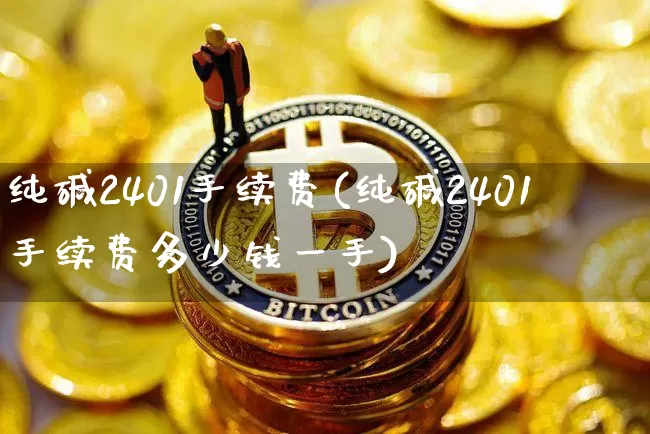 纯碱2401手续费(纯碱2401手续费多少钱一手)_https://www.czytfl.com_期货价格_第1张