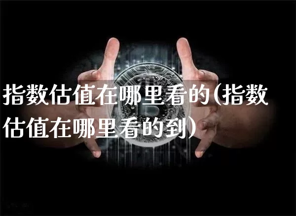 指数估值在哪里看的(指数估值在哪里看的到)_https://www.czytfl.com_期货价格_第1张