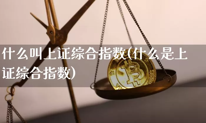什么叫上证综合指数(什么是上证综合指数)_https://www.czytfl.com_期货行情_第1张