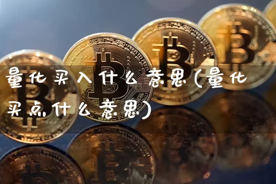 量化买入什么意思(量化买点什么意思)_https://www.czytfl.com_期货走势_第1张