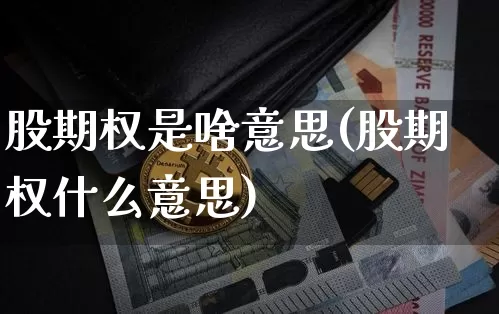 股期权是啥意思(股期权什么意思)_https://www.czytfl.com_期货_第1张