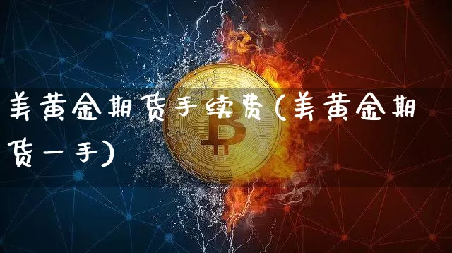 美黄金期货手续费(美黄金期货一手)_https://www.czytfl.com_期货走势_第1张