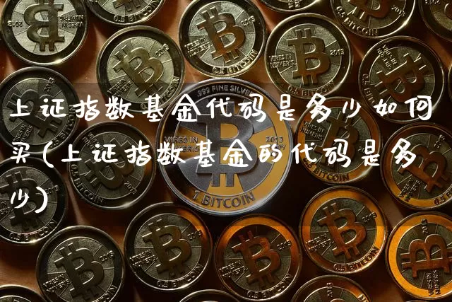 上证指数基金代码是多少如何买(上证指数基金的代码是多少)_https://www.czytfl.com_期货走势_第1张