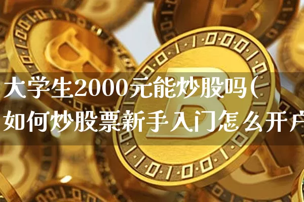 大学生2000元能炒股吗(如何炒股票新手入门怎么开户)_https://www.czytfl.com_期货价格_第1张
