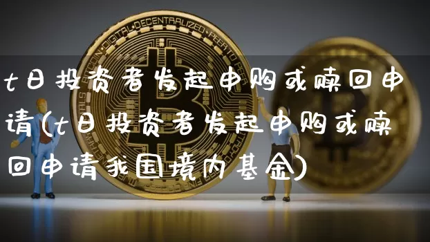 t日投资者发起申购或赎回申请(t日投资者发起申购或赎回申请我国境内基金)_https://www.czytfl.com_期货价格_第1张