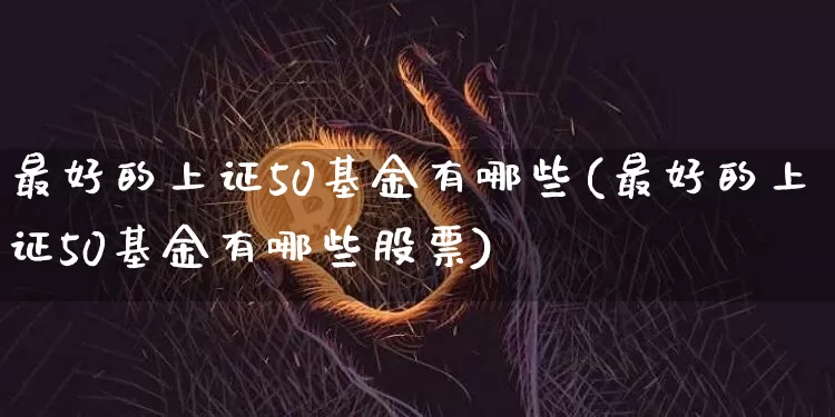 最好的上证50基金有哪些(最好的上证50基金有哪些股票)_https://www.czytfl.com_期货价格_第1张