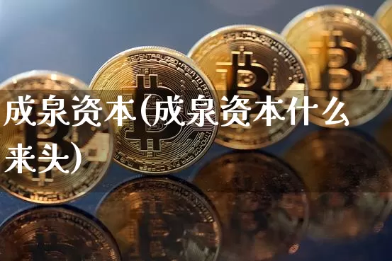 成泉资本(成泉资本什么来头)_https://www.czytfl.com_期货_第1张