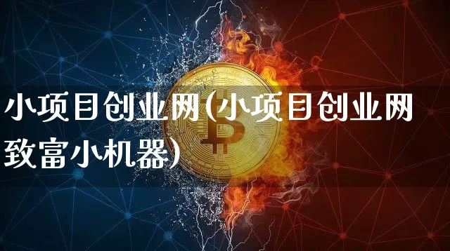 小项目创业网(小项目创业网致富小机器)_https://www.czytfl.com_期货走势_第1张