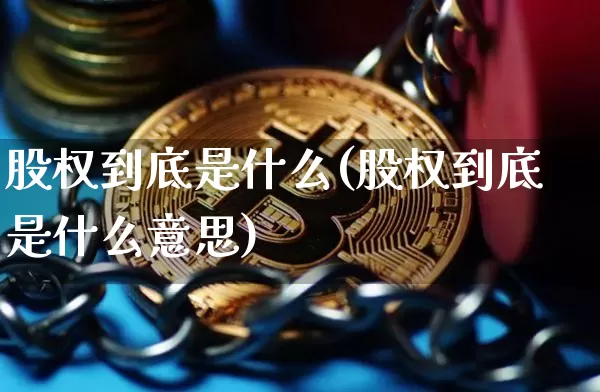 股权到底是什么(股权到底是什么意思)_https://www.czytfl.com_期货走势_第1张