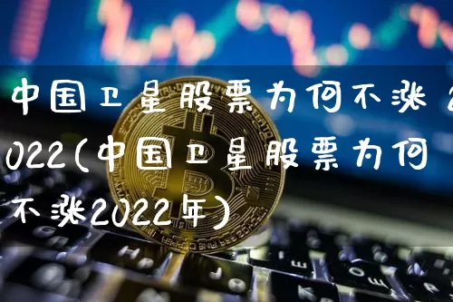 中国卫星股票为何不涨 2022(中国卫星股票为何不涨2022年)_https://www.czytfl.com_期货_第1张