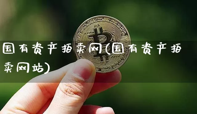 国有资产拍卖网(国有资产拍卖网站)_https://www.czytfl.com_期货走势_第1张