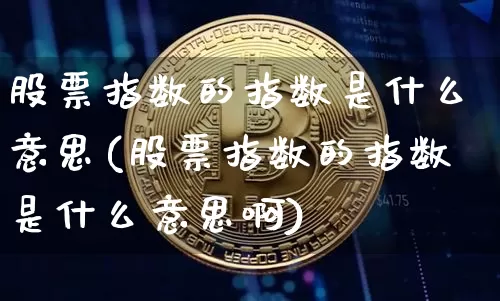 股票指数的指数是什么意思(股票指数的指数是什么意思啊)_https://www.czytfl.com_期货_第1张