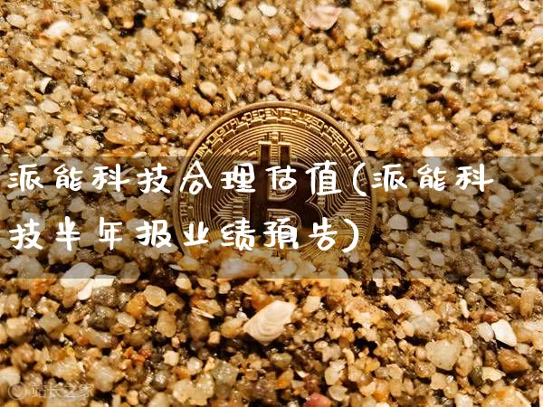派能科技合理估值(派能科技半年报业绩预告)_https://www.czytfl.com_期货价格_第1张