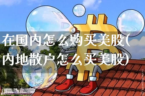 在国内怎么购买美股(内地散户怎么买美股)_https://www.czytfl.com_期货走势_第1张