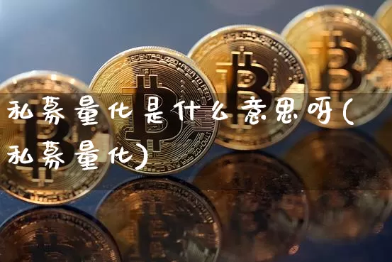 私募量化是什么意思呀(私募量化)_https://www.czytfl.com_期货走势_第1张