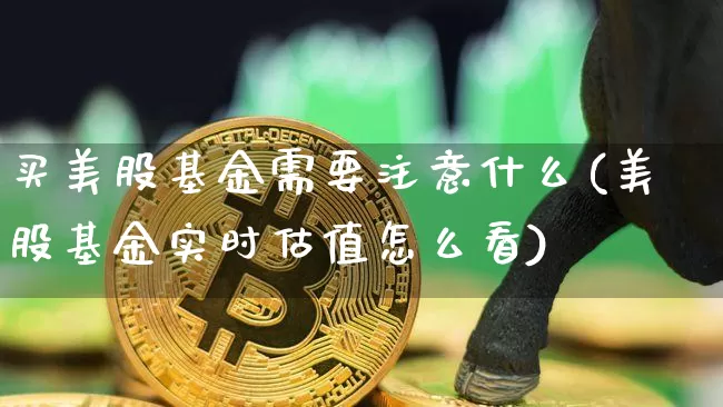 买美股基金需要注意什么(美股基金实时估值怎么看)_https://www.czytfl.com_期货_第1张